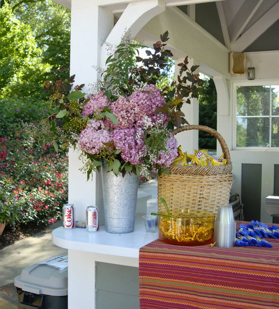 Bright pink hydrangeas in a container outdoors